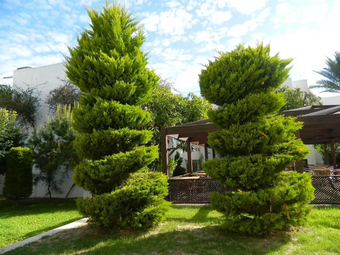 yelken_shabaviz (12).jpg